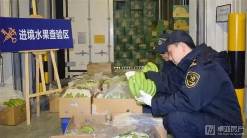 点击打开原图