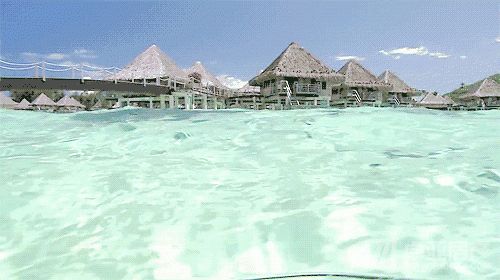 点击打开原图